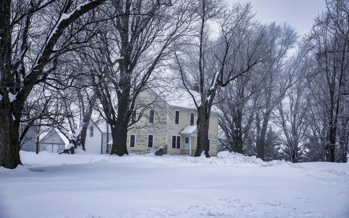 Successfully Selling Your Mold-Affected Home: Strategies and Tips